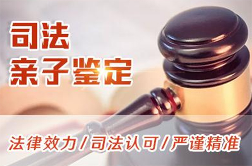 湖北司法DNA亲子鉴定哪里办理,湖北司法DNA鉴定结果需要多久